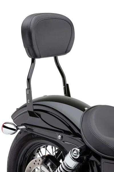 COBRA - 602-1301 - Round Sissy Bar