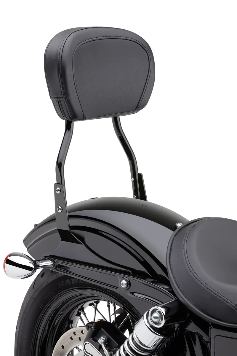 COBRA - 602-1301 - Round Sissy Bar