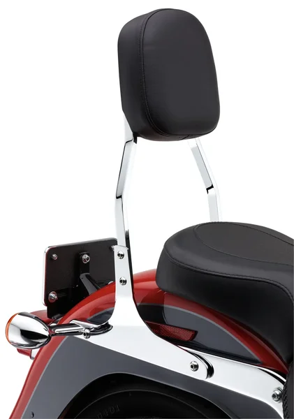 COBRA - 602-1251 - Round Sissy Bar