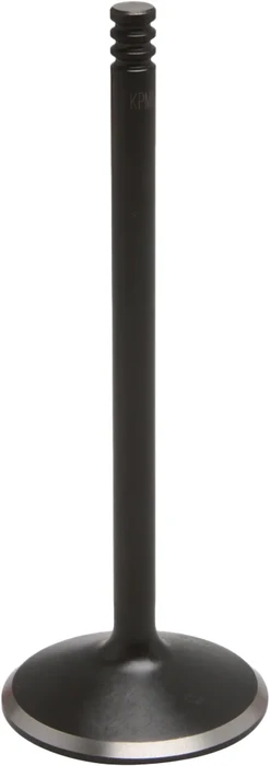 KPMI - 20-20940 - Black Diamond Intake Valve