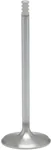 KPMI - 20-21061H - White Diamond Intake Valve