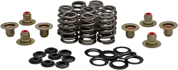 KPMI - 20-21215 - BEEHIVE VALVE SPRING KIT .550 LIFT  M8`17-24 NON VVT