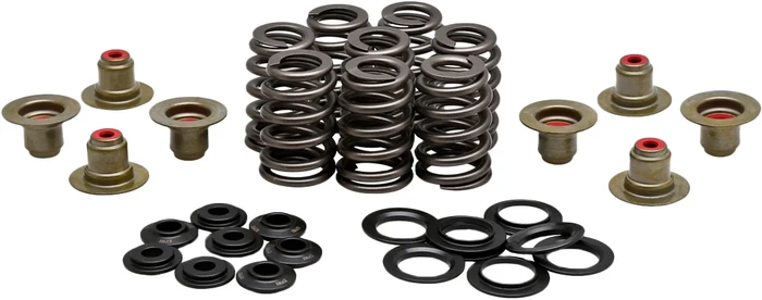 KPMI - 20-21215 - BEEHIVE VALVE SPRING KIT .550 LIFT  M8`17-24 NON VVT