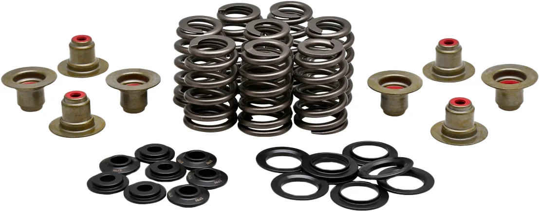 KPMI - 20-21215 - BEEHIVE VALVE SPRING KIT .550 LIFT  M8`17-24 NON VVT