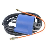 RM STATOR - RM06007 - External Ignition Coil