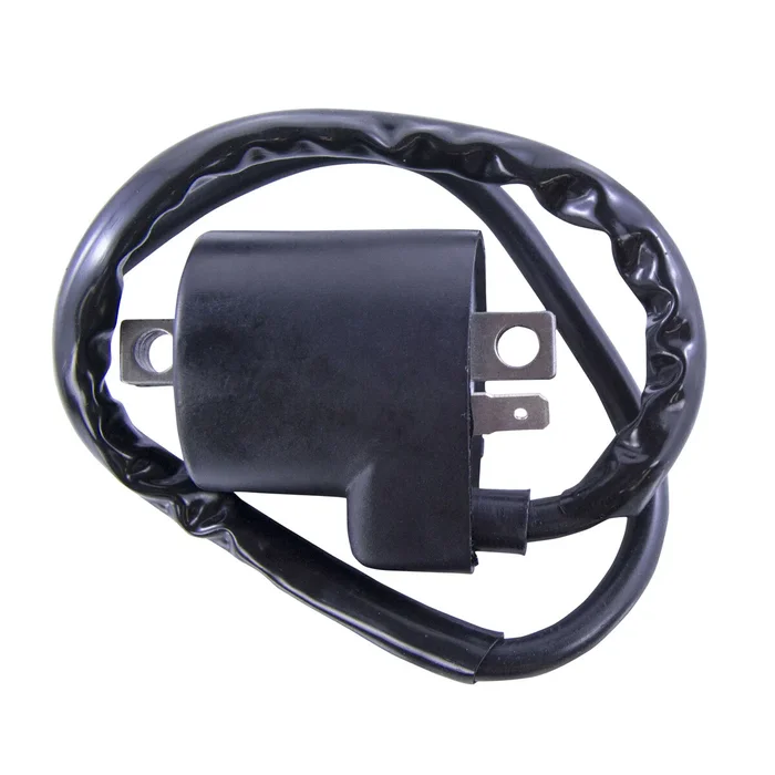 RM STATOR - RM06035 - External Ignition Coil