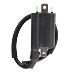 RM STATOR - RM06163 - External Ignition Coil