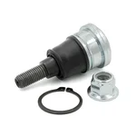 EPI - WE351043 - Ball Joint