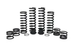 ZBROZ - K30-PL1008-0 - Dual Rate Spring Kit