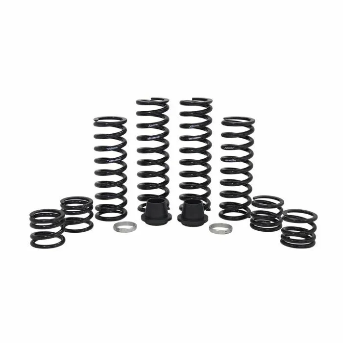 ZBROZ - K30-PL1009-0 - Dual Rate Spring Kit