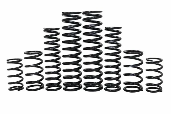 ZBROZ - K30-CA2000-0 - Dual Rate Spring Kit