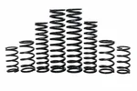 ZBROZ - K30-CA2000-0 - Dual Rate Spring Kit