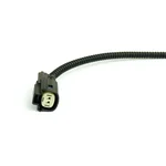 STRAIGHTLINE - 141-109 - Temp Sensor Delete Plug
