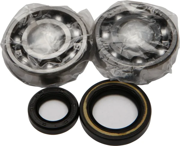 ALL BALLS Racing Crankshaft Bearing & Seal Kit - High-Performance Engine Parts for Powersports