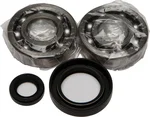 ALL BALLS Racing Crankshaft Bearing & Seal Kit - High-Performance Engine Kit for Powersports