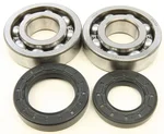 All Balls Racing 24-1005 Crankshaft Bearing & Seal Kit - High-Performance Engine Kit for Powersports