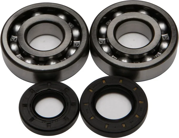 ALL BALLS Racing Crankshaft Bearing & Seal Kit - High-Performance Engine Kit for Powersports