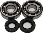 ALL BALLS Racing Crankshaft Bearing & Seal Kit - High-Performance Engine Kit for Powersports