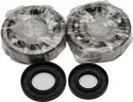 All Balls Racing 24-1010 Crankshaft Bearing & Seal Kit - High-Performance Engine Replacement