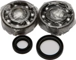 ALL BALLS Racing Crankshaft Bearing & Seal Kit - High-Performance Engine Component