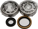 ALL BALLS - 24-1020 - Crankshaft Bearing & Seal Kit