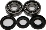 All Balls Racing 24-1022 Crankshaft Bearing & Seal Kit - High-Performance Engine Kit for Powersports
