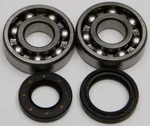 ALL BALLS Racing 24-1024 Crankshaft Bearing & Seal Kit - High-Performance Engine Kit for Racing & Off-Roading