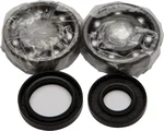 ALL BALLS Racing 24-1025 Crankshaft Bearing & Seal Kit - High-Performance Engine Replacement