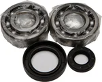 All Balls Racing 24-1030 Crankshaft Bearing & Seal Kit - High-Performance Engine Kit for Powersports