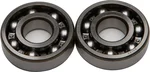 All Balls Racing 24-1032 Crankshaft Bearing & Seal Kit - High-Performance Engine Kit for Powersports