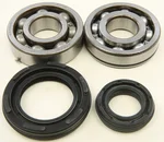 ALL BALLS Racing Crankshaft Bearing & Seal Kit - High-Performance Engine Replacement
