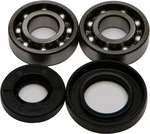ALL BALLS Racing Crankshaft Bearing & Seal Kit - High-Performance Engine Replacement Kit