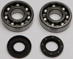 ALL BALLS Racing Crankshaft Bearing & Seal Kit - High-Performance Engine Replacement Kit