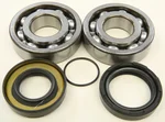 All Balls Racing 24-1066 Crankshaft Bearing & Seal Kit - High-Performance Engine Kit for Powersports