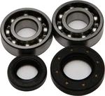 All Balls Racing 24-1067 Crankshaft Bearing & Seal Kit - High-Performance Engine Kit for Powersports