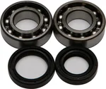 ALL BALLS Racing Crankshaft Bearing & Seal Kit - High-Performance Engine Replacement Kit