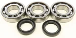 All Balls Racing 24-1078 Crankshaft Bearing & Seal Kit - High-Performance Engine Kit for Powersports