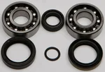 ALL BALLS Racing Crankshaft Bearing & Seal Kit - High-Performance Engine Replacement Kit