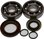 All Balls Racing Crankshaft Bearing & Seal Kit - High-Performance Engine Replacement