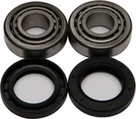 All Balls Racing Drive Wheel Bearing Kit - Durable, High-Performance Racing Bearings