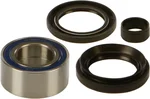 All Balls Racing 25-1005 Drive Wheel Bearing Kit - Durable, High-Performance Racing Bearings