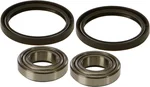 All Balls Racing 25-1006 Drive Wheel Bearing Kit - Durable, High-Performance Racing Bearings