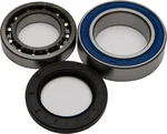 All Balls Racing 25-1010 Drive Wheel Bearing Kit - Durable, High-Performance Replacement for Powersports Vehicles