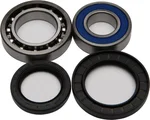 ALL BALLS Racing 25-1018 Drive Wheel Bearing Kit - Durable, High-Performance Replacement for Powersports Vehicles