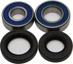 All Balls Racing Drive Wheel Bearing Kit - Durable, High-Performance Replacement for Powersports Vehicles