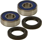 All Balls Racing 25-1027 Drive Wheel Bearing Kit - Durable, High-Performance Replacement for Powersports Vehicles