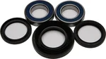 All Balls Racing Drive Wheel Bearing Kit - Durable, High-Performance Replacement for Powersports Vehicles