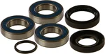 All Balls Racing 25-1034 Drive Wheel Bearing Kit - Durable, High-Performance Replacement for Powersports Vehicles