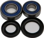 All Balls Racing 25-1035 Drive Wheel Bearing Kit - High-Durability Racing Bearings for Uncompromising Performance