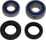 ALL BALLS - 25-1060 - All Balls Wheel Bearing Kits